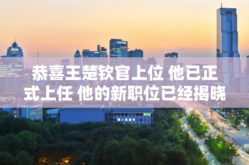 恭喜王楚钦官上位 他已正式上任 他的新职位已经揭晓 恭喜 粉丝们祝你一切顺利