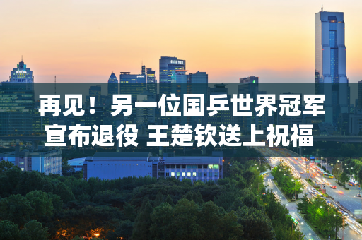 再见！另一位国乒世界冠军宣布退役 王楚钦送上祝福 结束了他10年的国手生涯