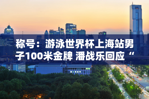 称号：游泳世界杯上海站男子100米金牌 潘战乐回应“6块腹肌变1块腹肌”：腹肌因为增肌而消失