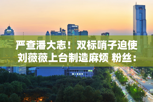 严查潘大志！双标哨子迫使刘薇薇上台制造麻烦 粉丝：他们拿了多少钱？