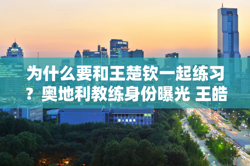 为什么要和王楚钦一起练习？奥地利教练身份曝光 王皓强烈邀请 中国妻子力挺