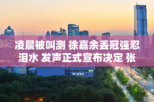 凌晨被叫测 徐嘉余丢冠强忍泪水 发声正式宣布决定 张雨霏送上祝福