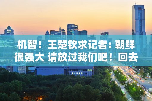 机智！王楚钦求记者: 朝鲜很强大 请放过我们吧！回去看视频休息一下